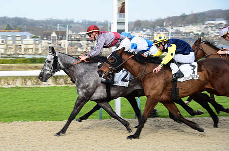 Actualités Hippiques